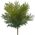 Double Fern Bush 48cm