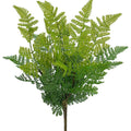 Fern Bush 48cm