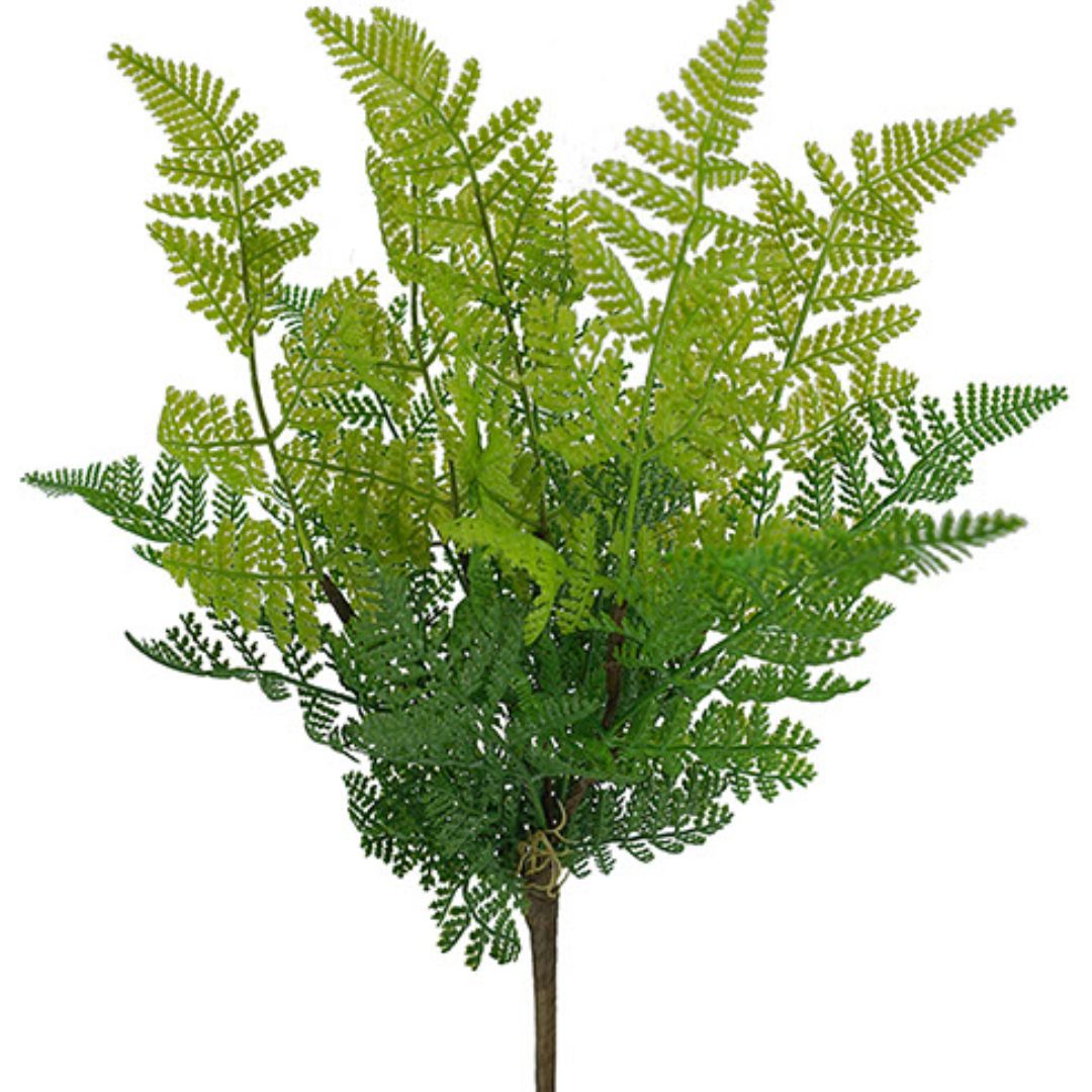 Fern Bush 48cm