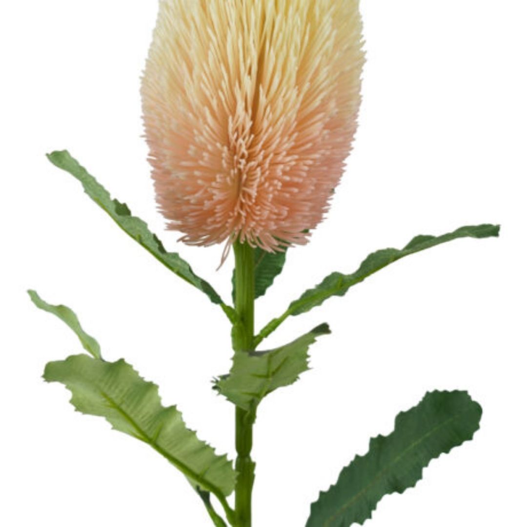 Windragon Banksia Stem Pink 65cm