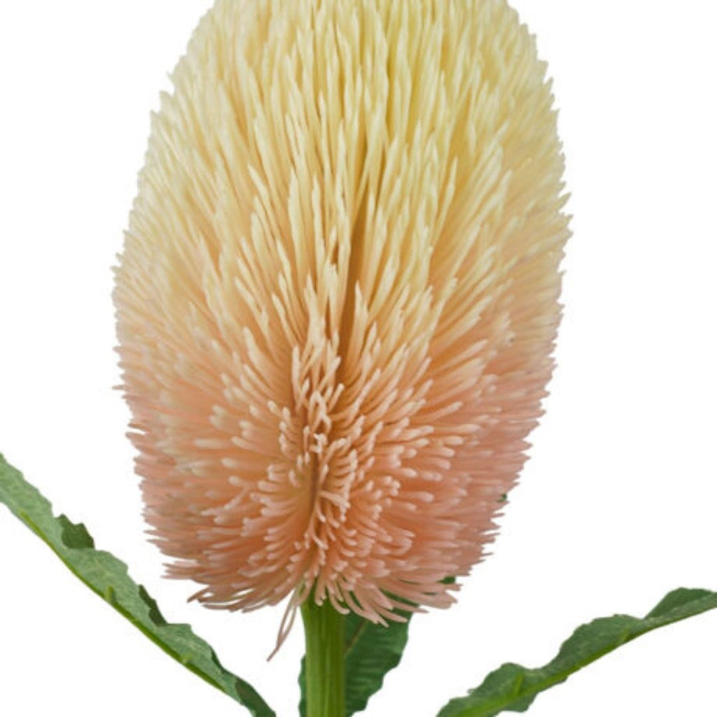 Windragon Banksia Stem Pink 65cm
