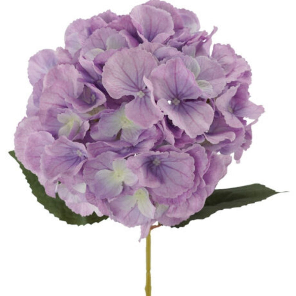 Windragon Hydrangea 2 Layer Stem Purple