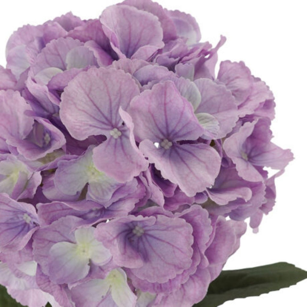 Windragon Hydrangea 2 Layer Stem Purple
