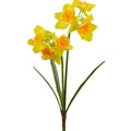 Windragon Daffodil Stem Yellow 46cm