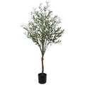 Olive Tree 160cm