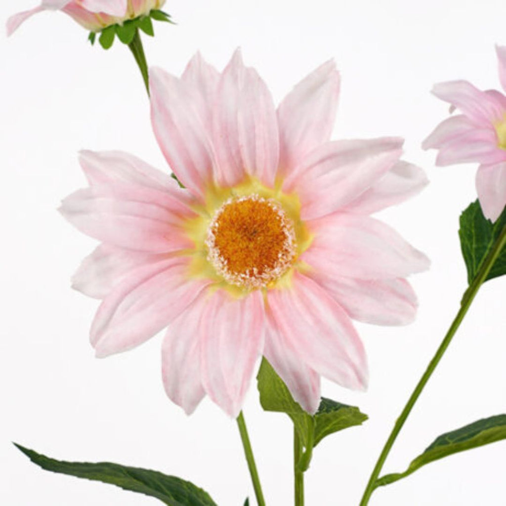 Windragon Royal Daisy Spray Pink 76cm