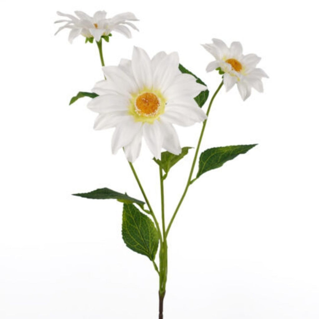 Windragon Royal Daisy Spray 76cm