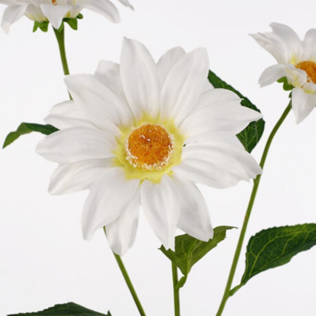 Windragon Royal Daisy Spray 76cm