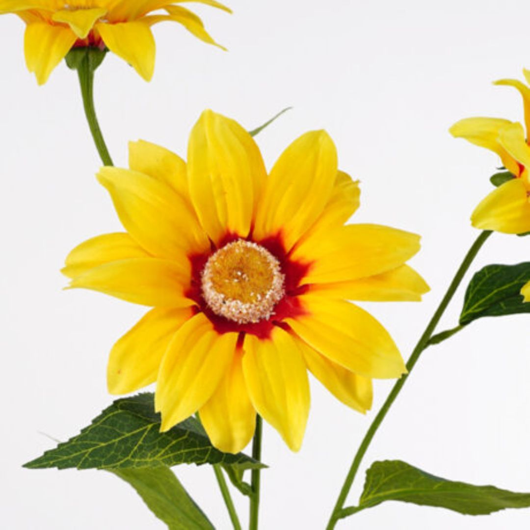 Windragon Royal Daisy Spray Yellow 76cm