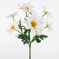 Windragon Gazania Daisy Spray Cream 60cm