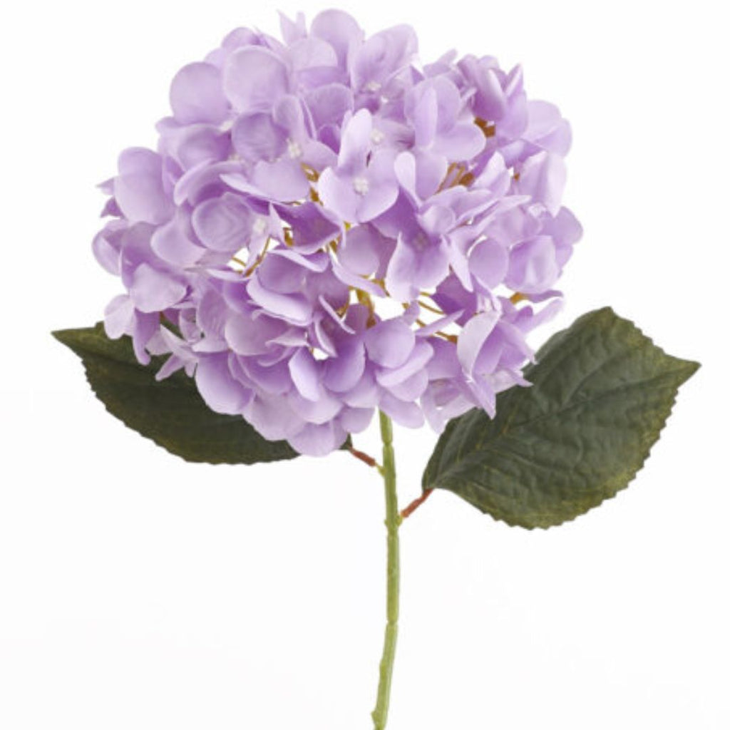 Windragon Hydrangea Stem Purple 64cm