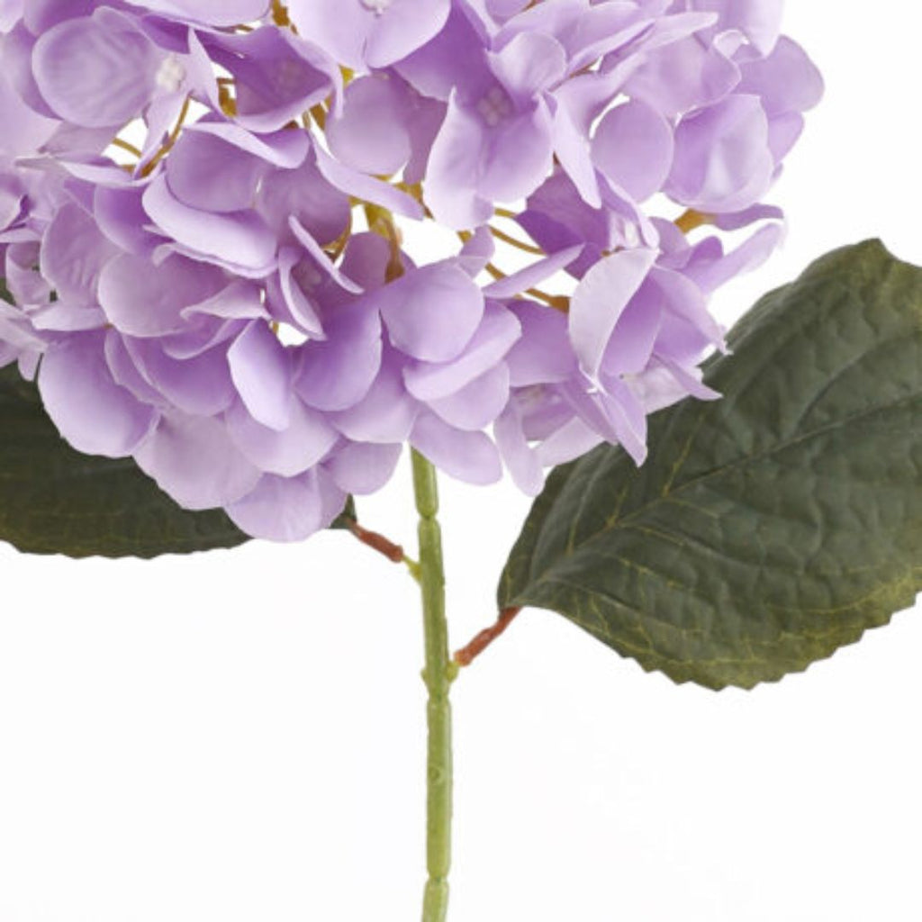 Windragon Hydrangea Stem Purple 64cm
