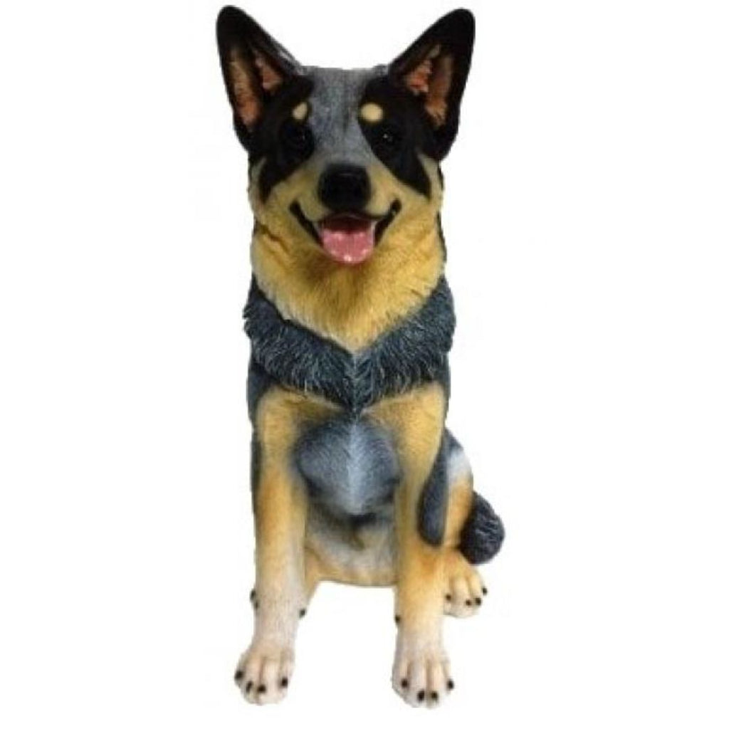 Large Blue Heeler Sitting 35x22x47cm