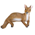 Kangaroo Laying Down Small - 49x33x27cm