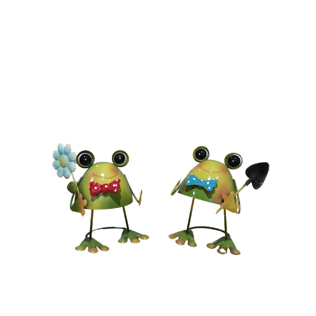 Quirky Frogs