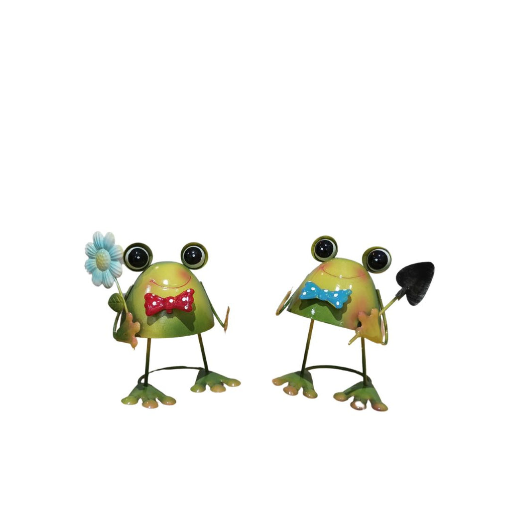 Quirky Frogs