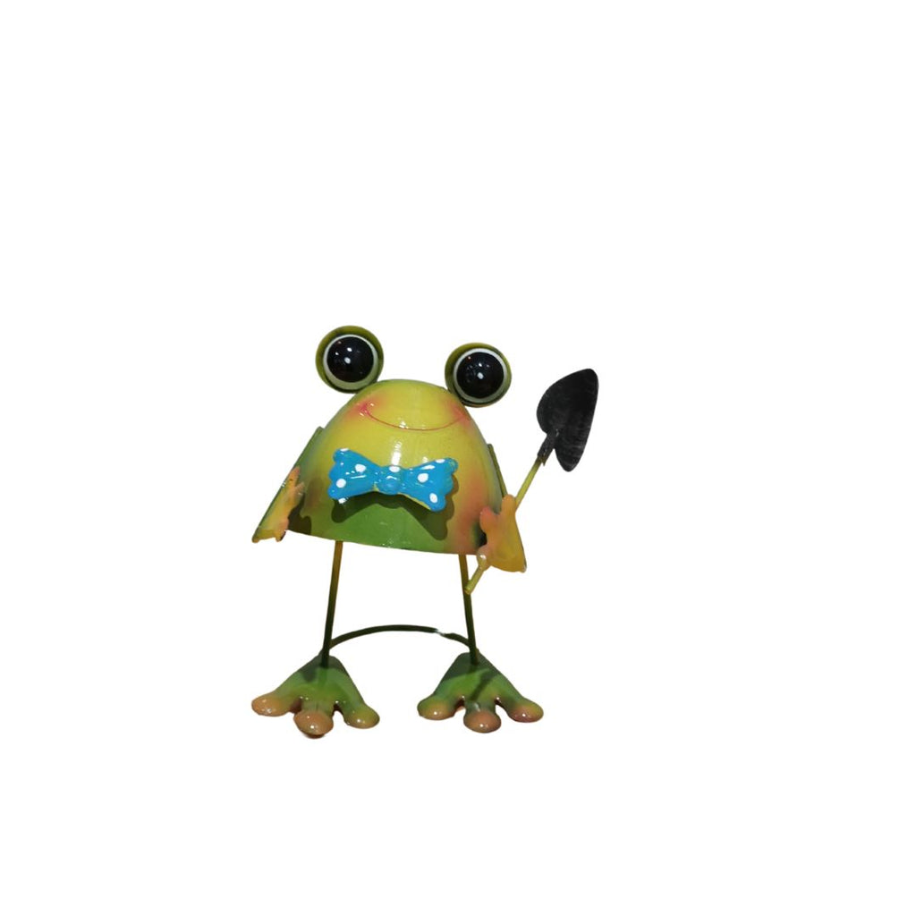 Quirky Frogs