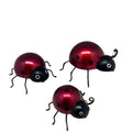 Trio Of Lady Birds Set Of 3