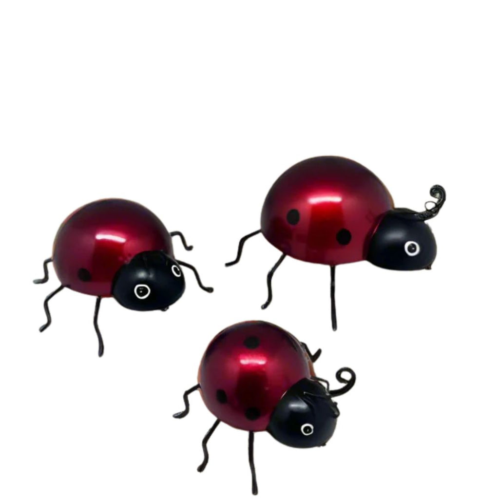 Trio Of Lady Birds Set Of 3