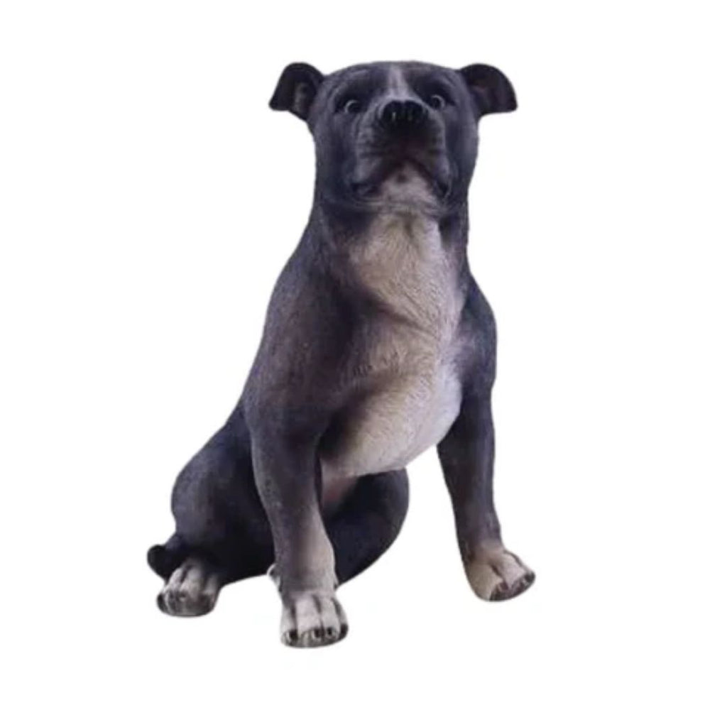 Silver Staffy 280x205x330mm