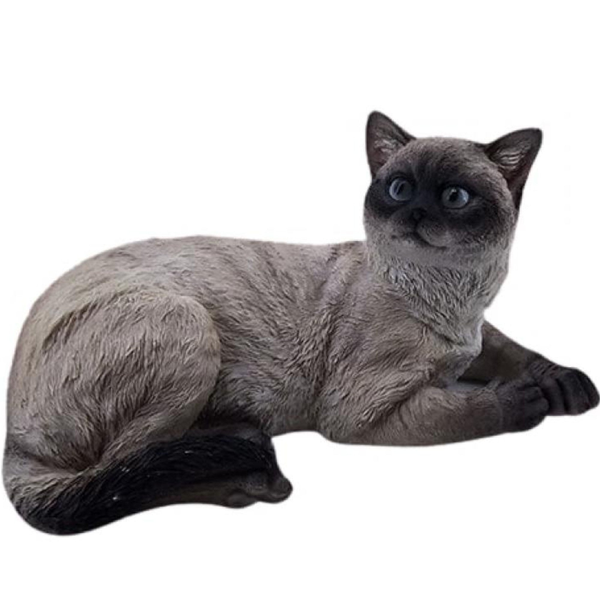 Sammy Siamese Cat