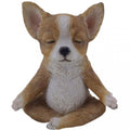 Chihuahua Dog Feng Shui