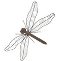 Dragonfly Wall Art Rustic 570x340x50mm