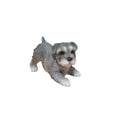 Miniature Schnauzer 18x10x12.5cm