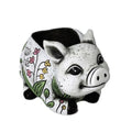 Piggy Planter - 20.5x14.2x12.3cm