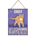 Metal Ginger Cat Wall Hanging 20x27