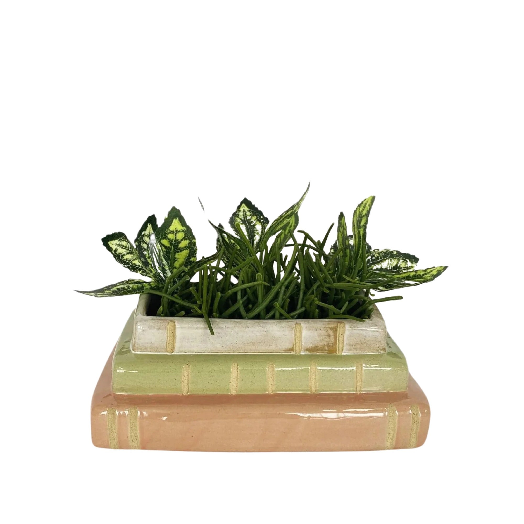 Urban Products Aspen Book Planter Pink, Green & White 8cm