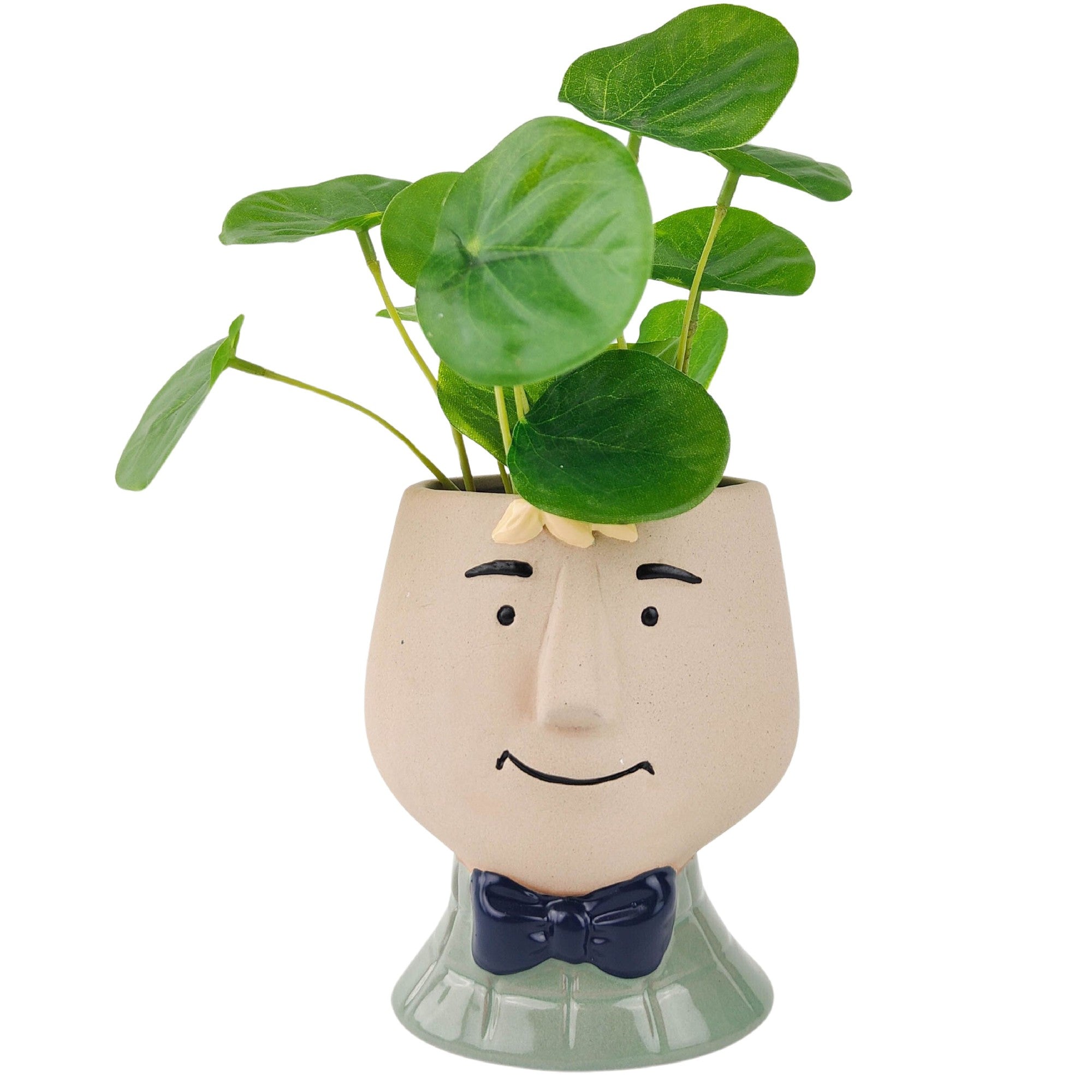 Boy Planter Sage 12cm