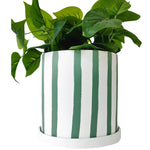 Load image into Gallery viewer, Julia Stripe Planter With Saucer Sage Medium 17cm
