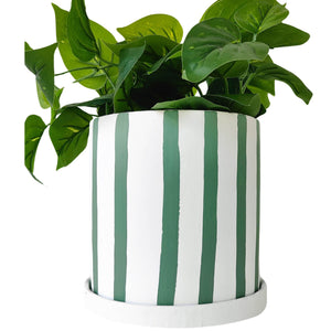 Julia Stripe Planter With Saucer Sage Medium 17cm