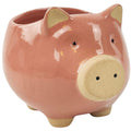 Pig Planter Pink Medium 11cm