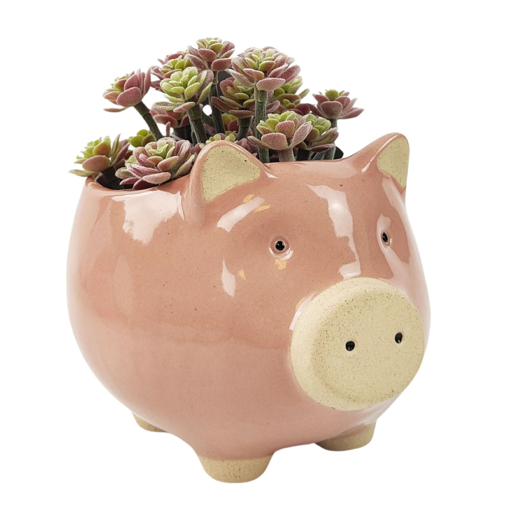 Pig Planter Pink Medium 11cm