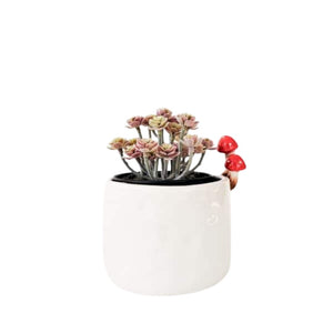 Toadstool Planter White 11cm