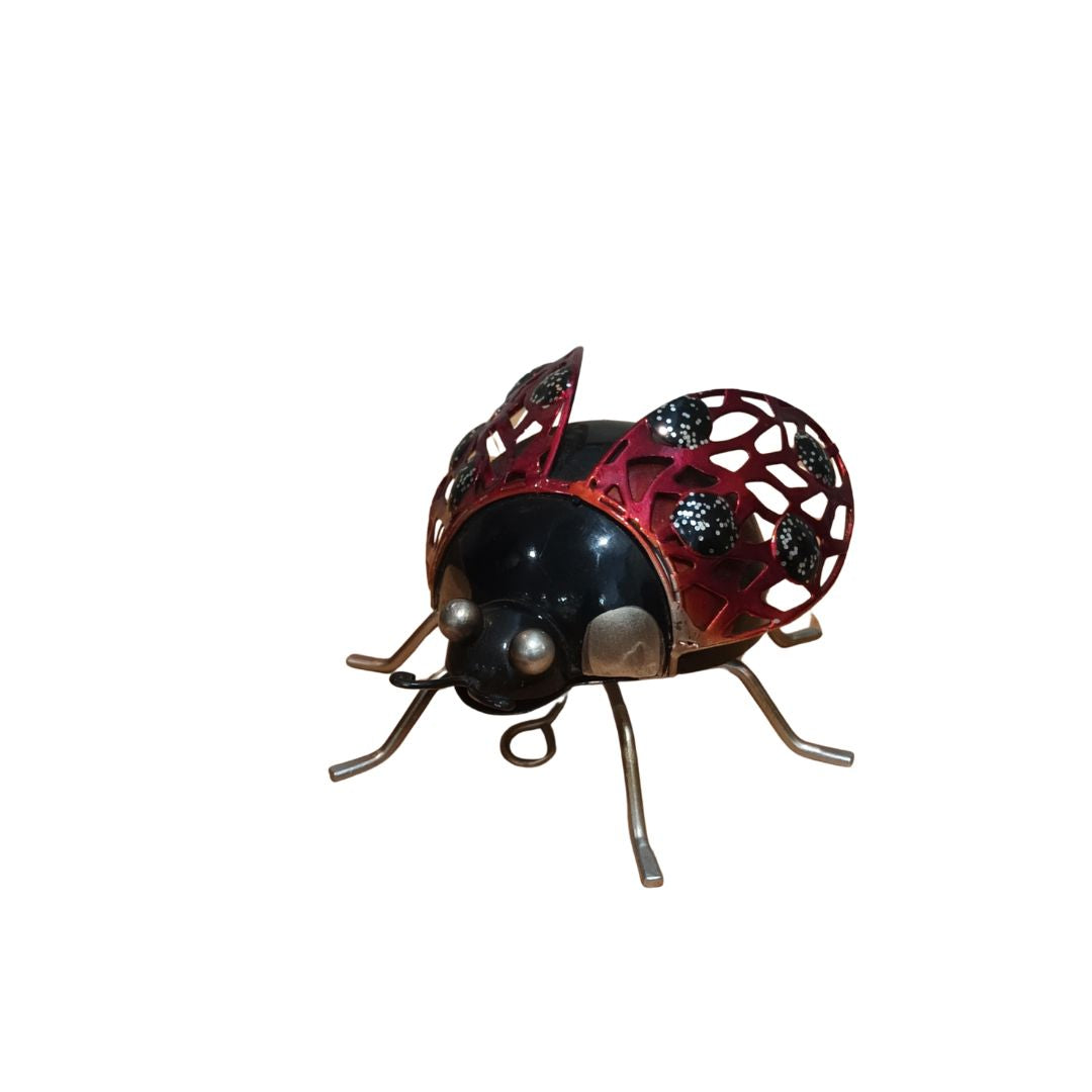 Ladybeetle 14x17x4cm