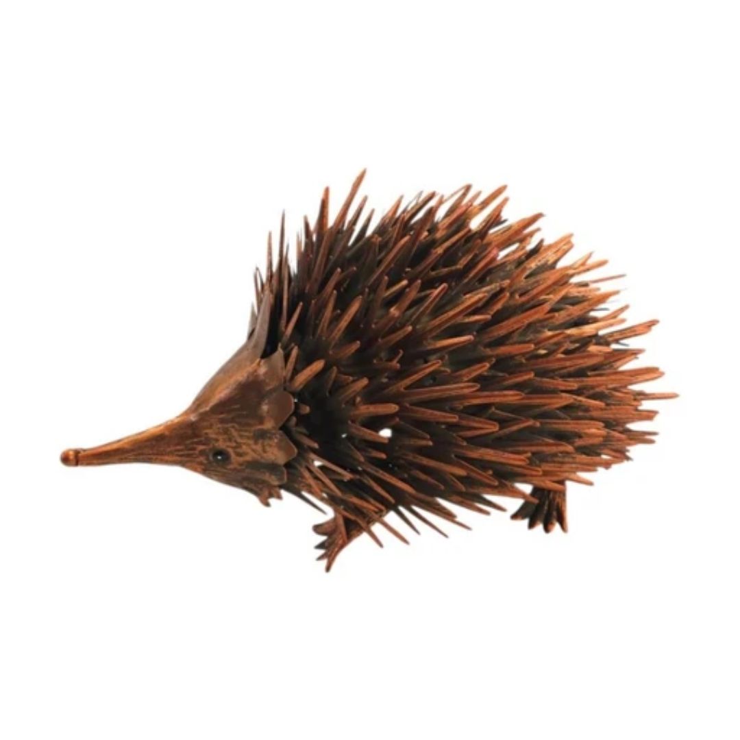 Bronrob Echidna 36x24xh21cm