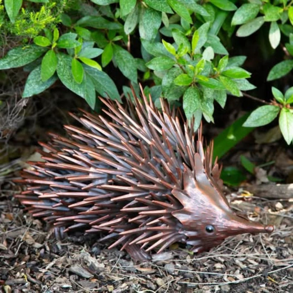 Bronrob Echidna 36x24xh21cm
