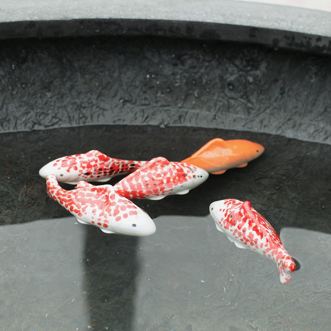 Floating Red Koi Fish