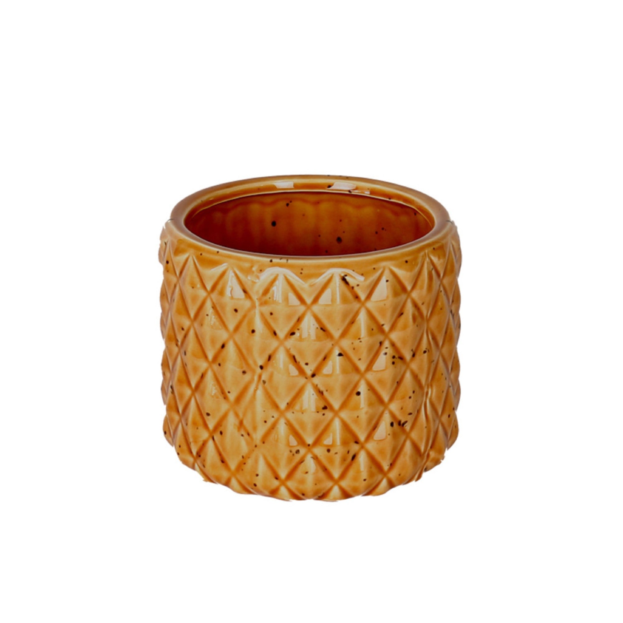 Orange Pineapple Pot Large