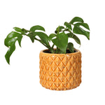 Load image into Gallery viewer, Orange Pineapple Pot Large
