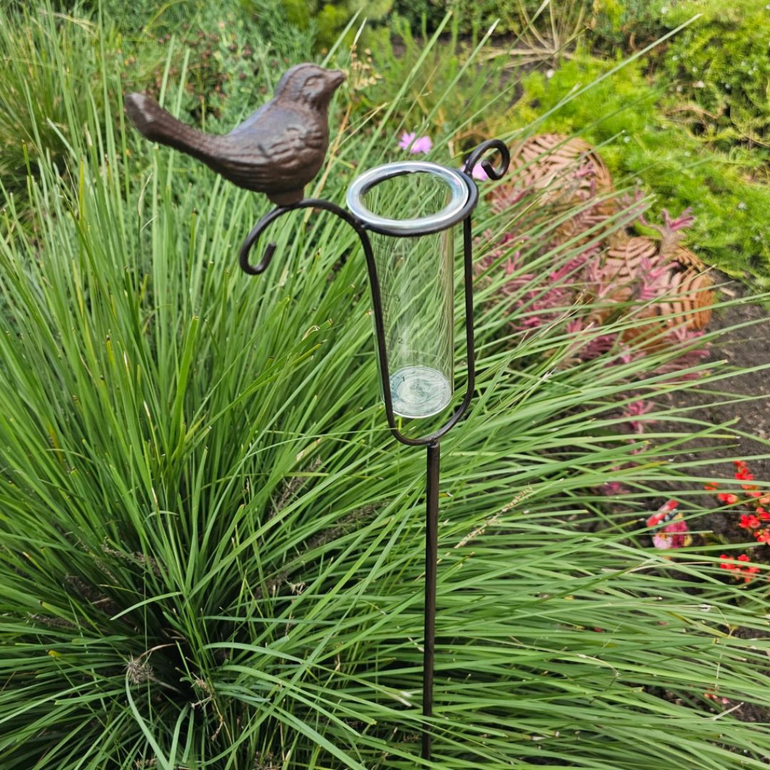 Cast Iron Bird Rain Gauge 