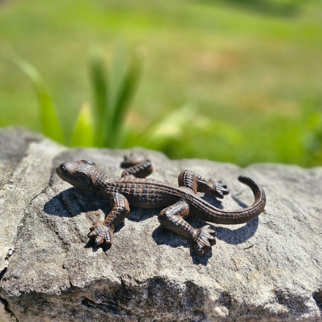 Lizard Cast Iron