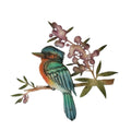 Kookaburra Coloured Wall Art 41.50x40x1.50cm