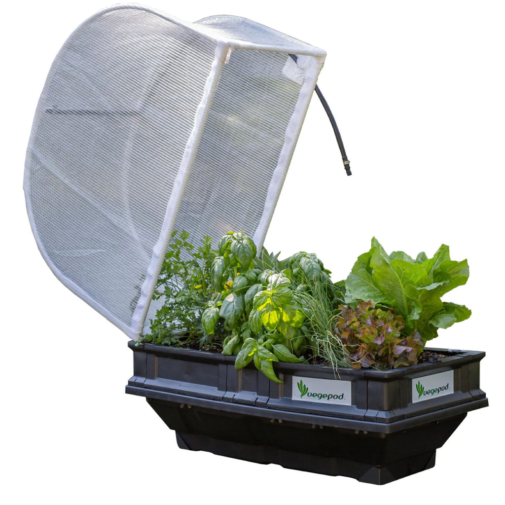 Vege Pod Small