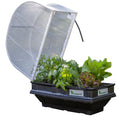 Vege Pod Small