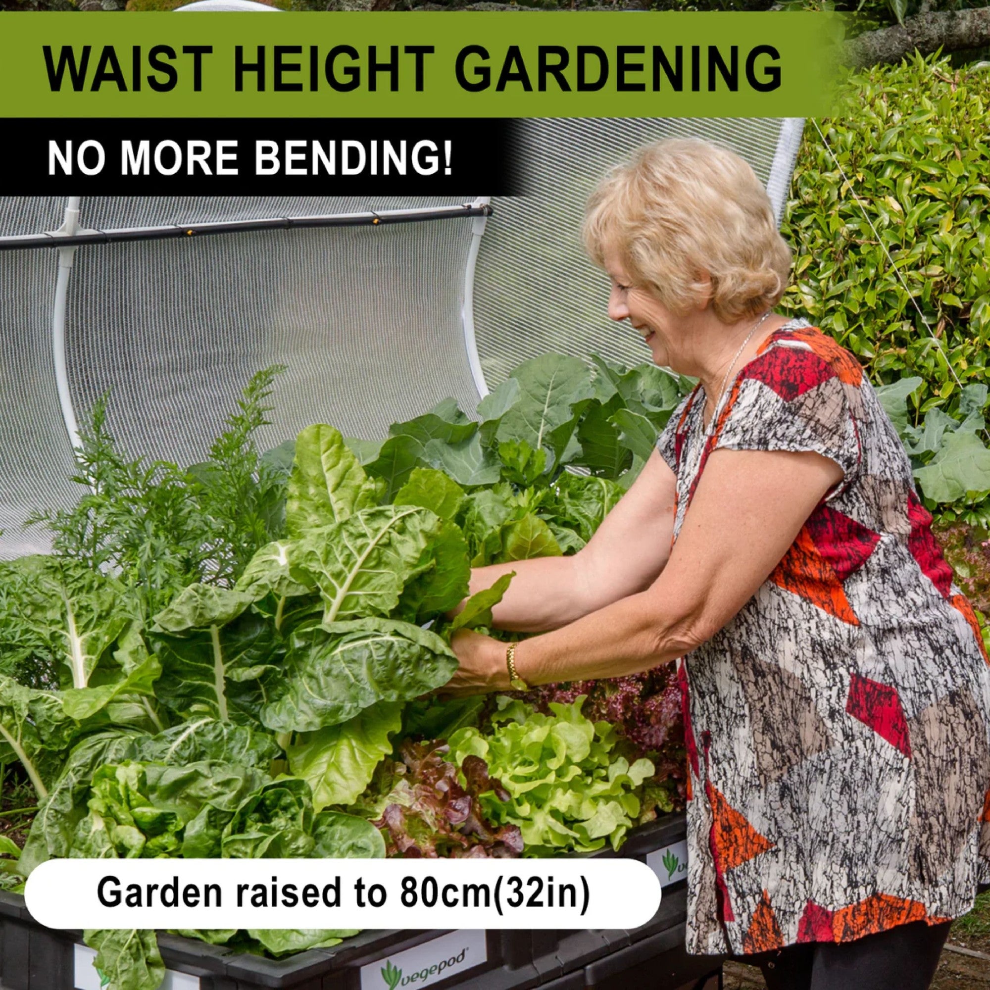 Vege Pod Stand No Wheels Large