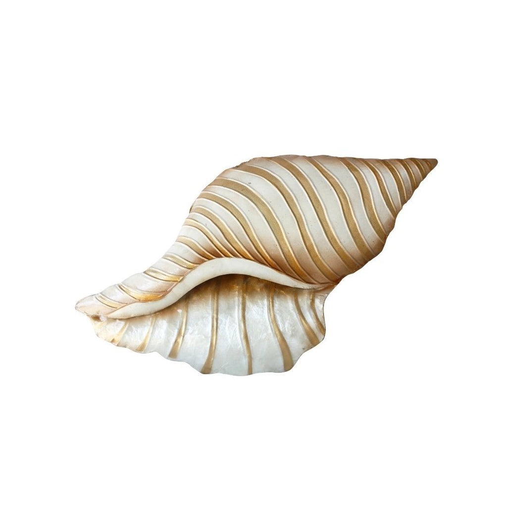 Capiz Beige Conch Shell Wallart
